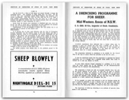 1956 Page 50 51